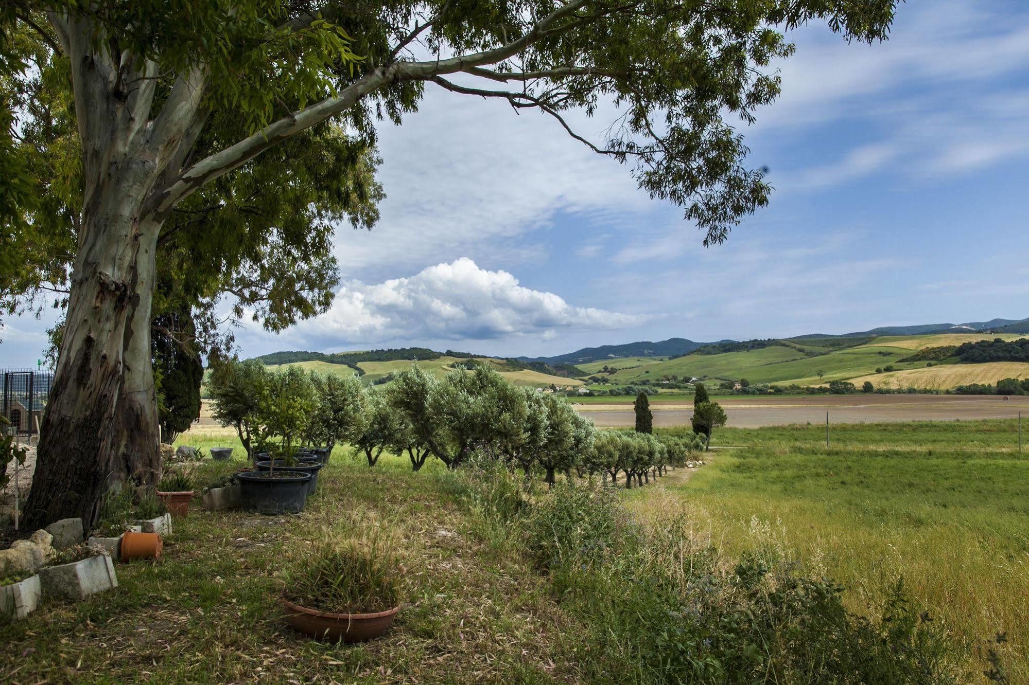 Locanda Naumanni Tarquinia