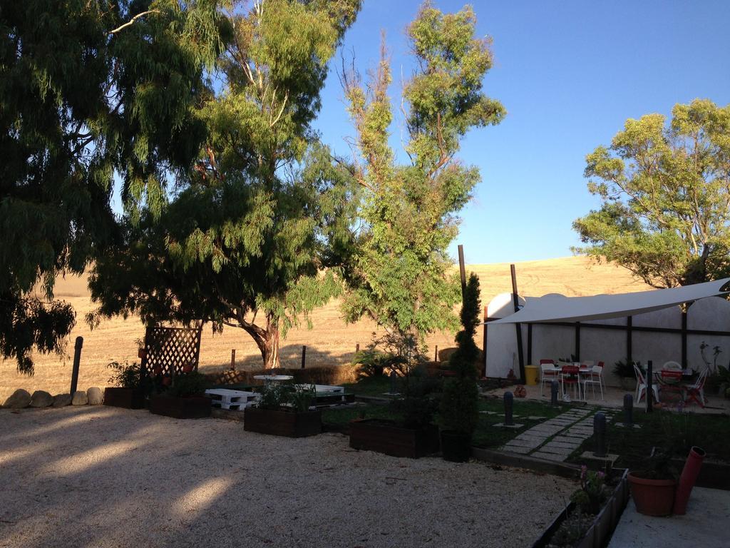 Bed & Breakfast Naumanni Tarquinia