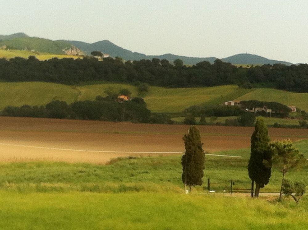 Naumanni Bed & Breakfast Tarquinia