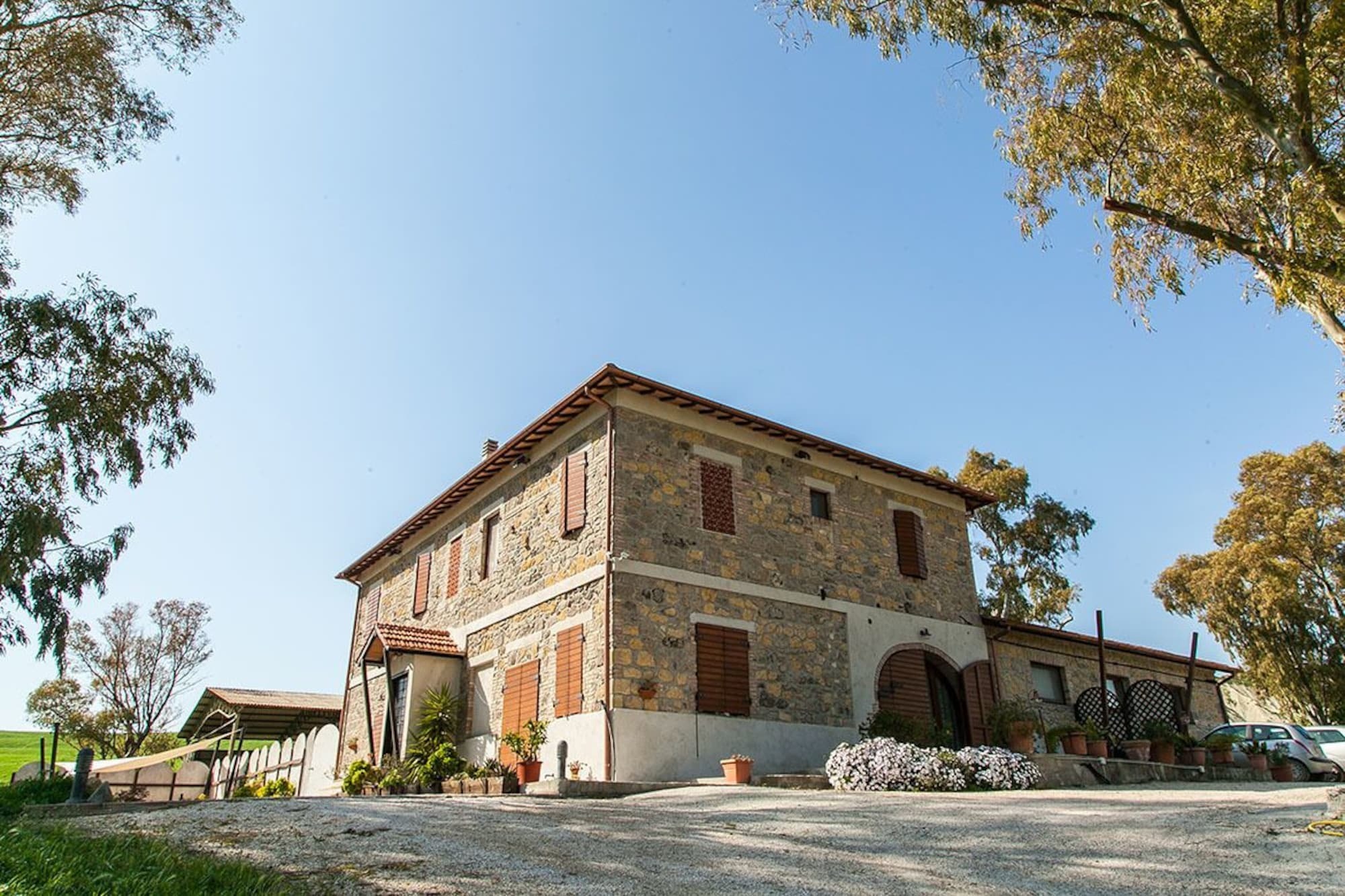 Naumanni 3*